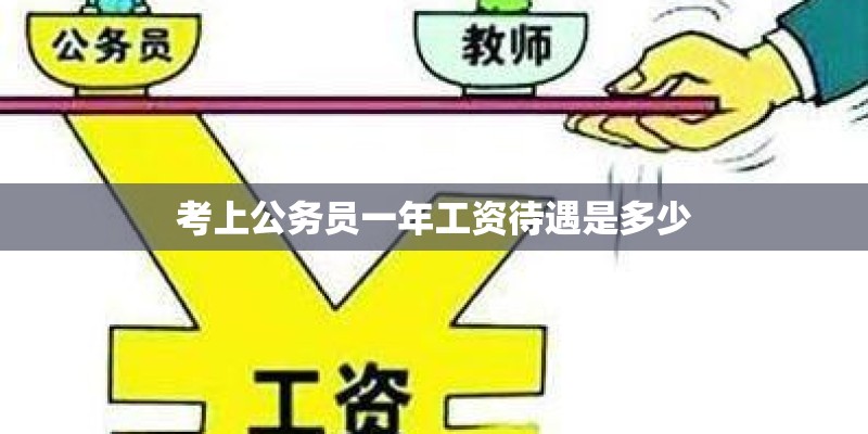 考上公务员一年工资待遇是多少