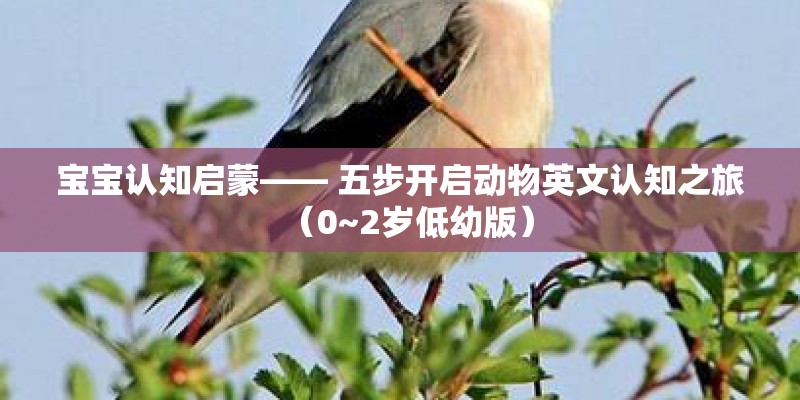 宝宝认知启蒙—— 五步开启动物英文认知之旅（0~2岁低幼版）