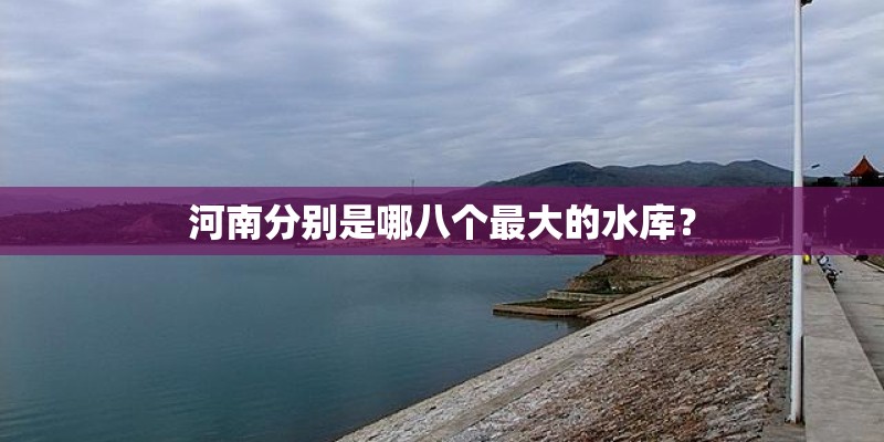 河南分别是哪八个最大的水库？