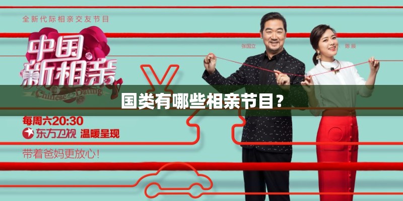国类有哪些相亲节目？