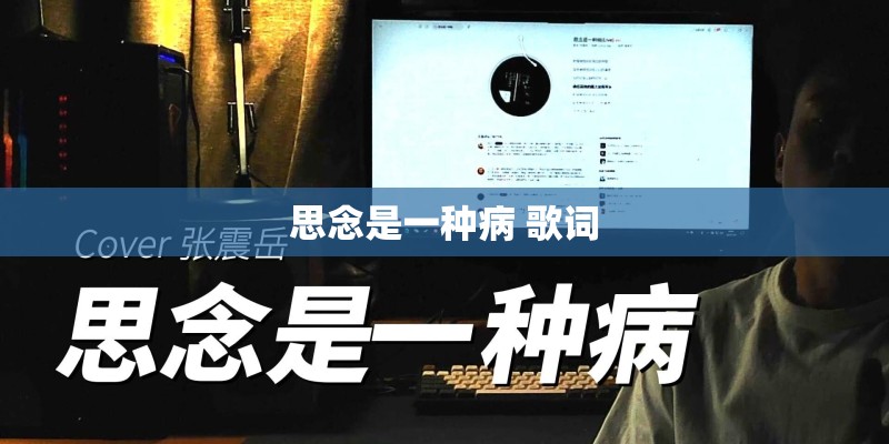 思念是一种病 歌词