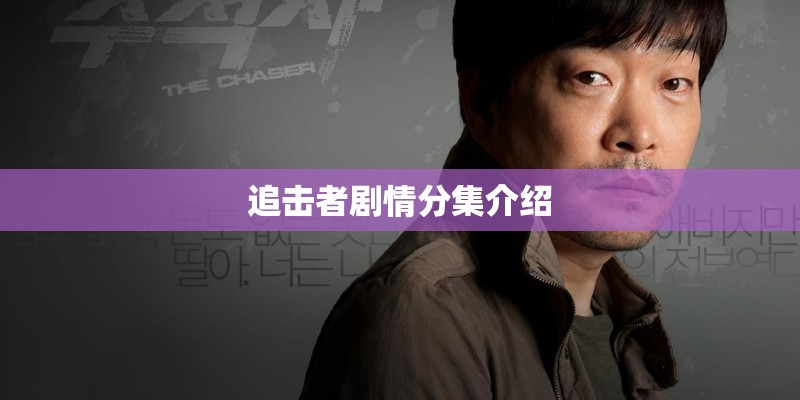 追击者剧情分集介绍