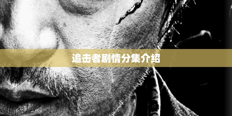 追击者剧情分集介绍 追击者剧情分集介绍