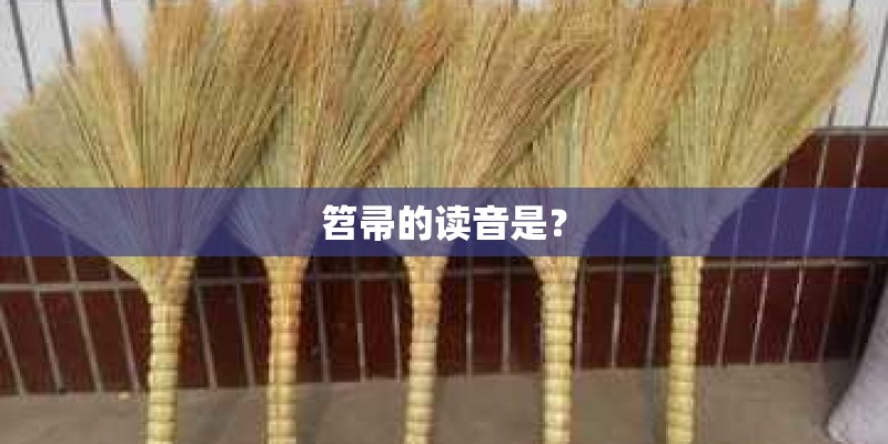 笤帚的读音是？