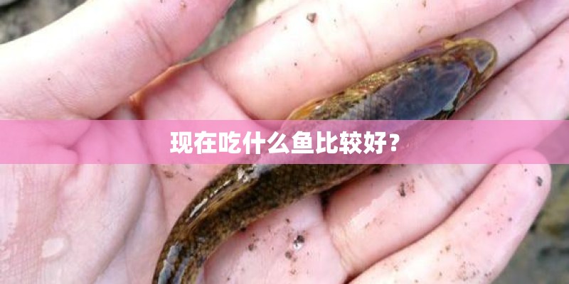 楼顶花园适合种什么植物 屋顶花园植物选择要求