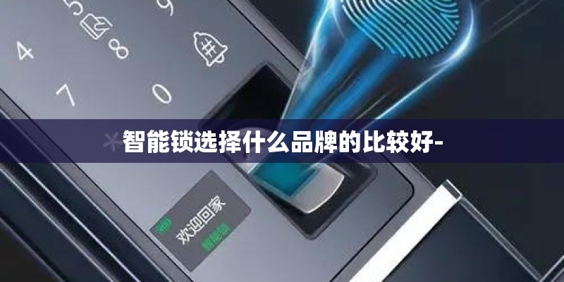 智能锁选择什么品牌的比较好-