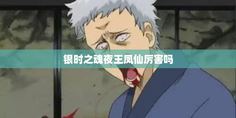 银时之魂夜王凤仙厉害吗