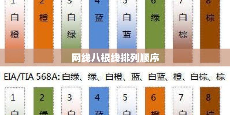 网线八根线排列顺序