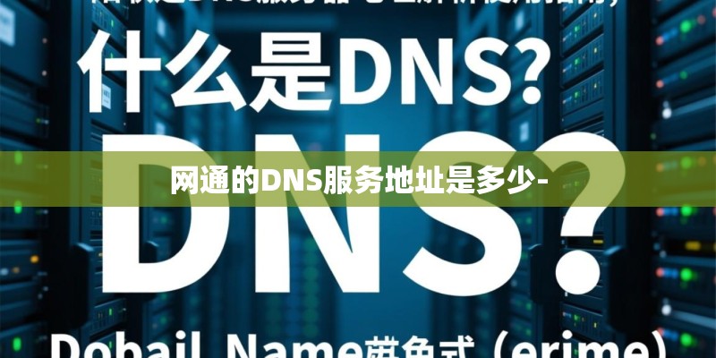 网通的DNS服务地址是多少-
