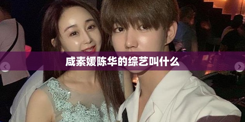 咸素媛陈华的综艺叫什么