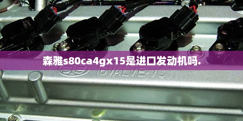 森雅s80ca4gx15是进口发动机吗.