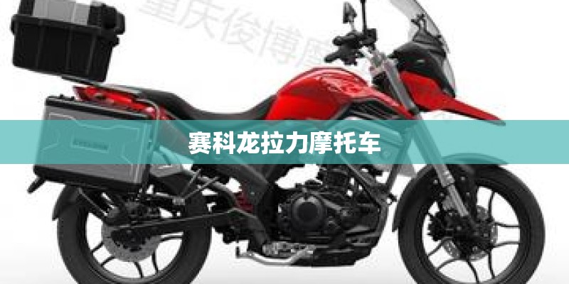 赛科龙拉力摩托车