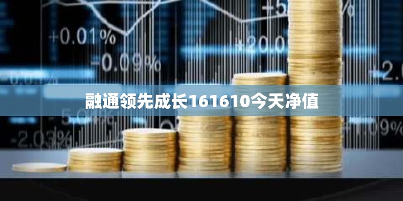 融通领先成长161610今天净值
