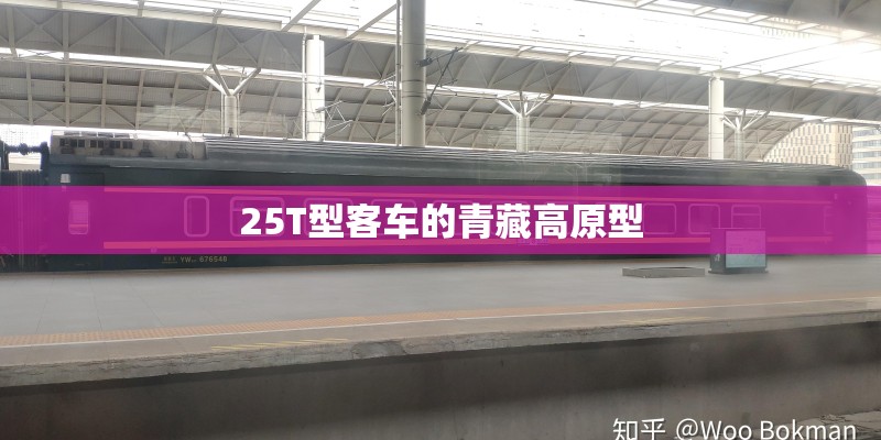 25T型客车的青藏高原型 25T型客车的青藏高原型
