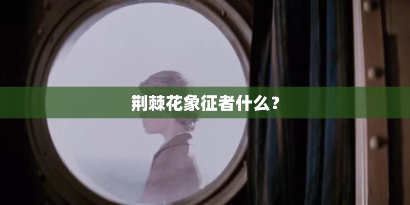 荆棘花象征者什么？