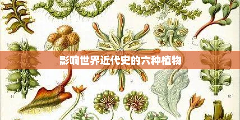 影响世界近代史的六种植物