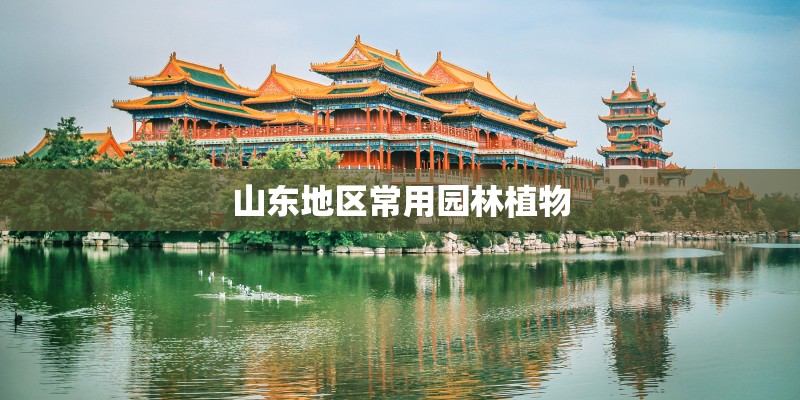 山东地区常用园林植物