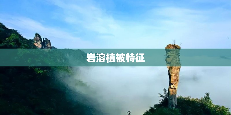 岩溶植被特征