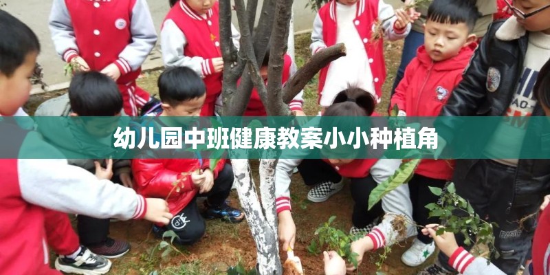 幼儿园中班健康教案小小种植角 幼儿园中班健康教案小小种植角