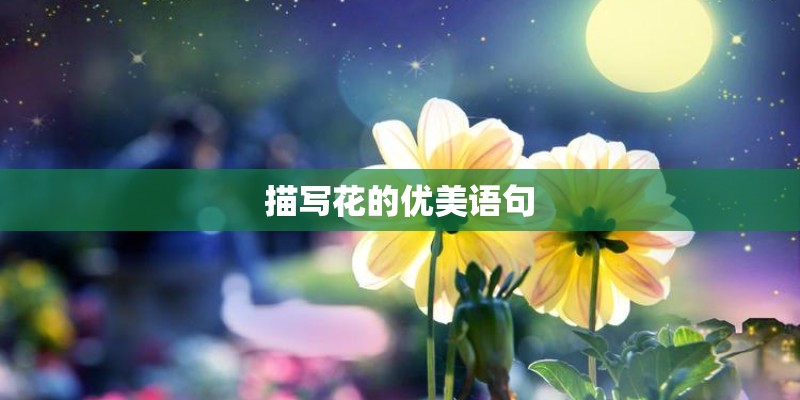描写花的优美语句