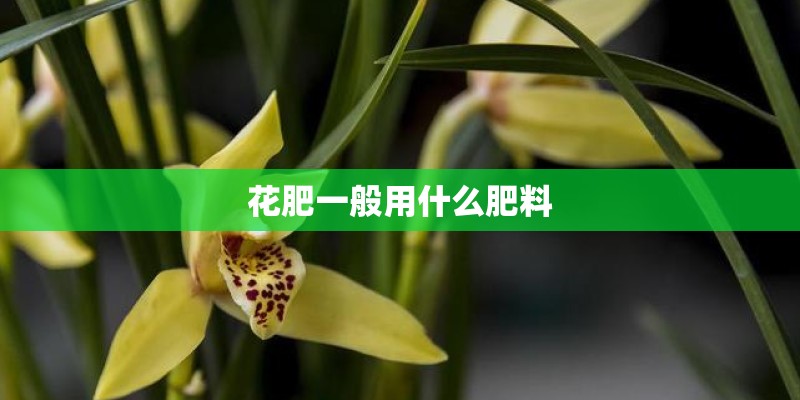 花肥一般用什么肥料