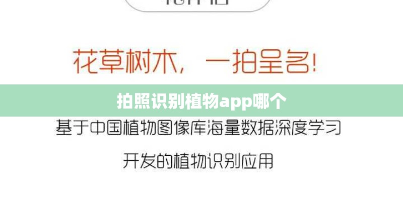 拍照识别植物app哪个
