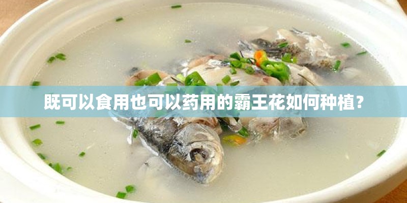 既可以食用也可以药用的霸王花如何种植？