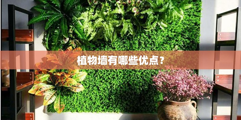 植物墙有哪些优点？