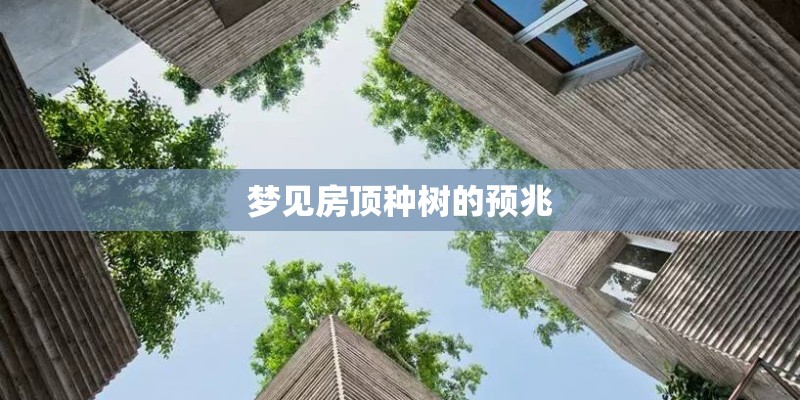 梦见房顶种树的预兆