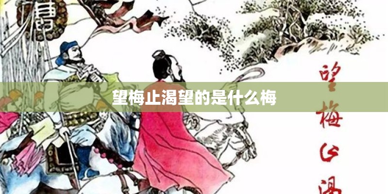 望梅止渴望的是什么梅 望梅止渴望的是什么梅