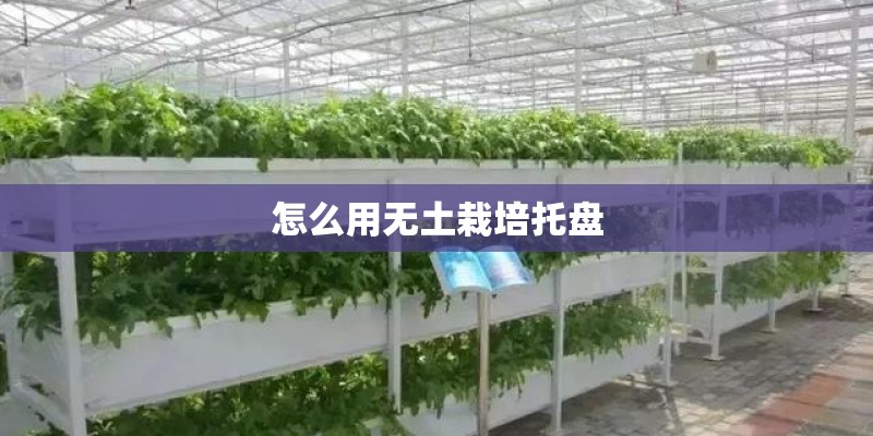 为什么说吉林乌拉街是一座曾被遗忘的古镇? 为什么说吉林乌拉街是一座曾被遗忘的古镇?