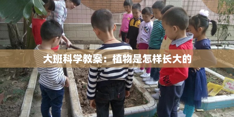 大班科学教案：植物是怎样长大的