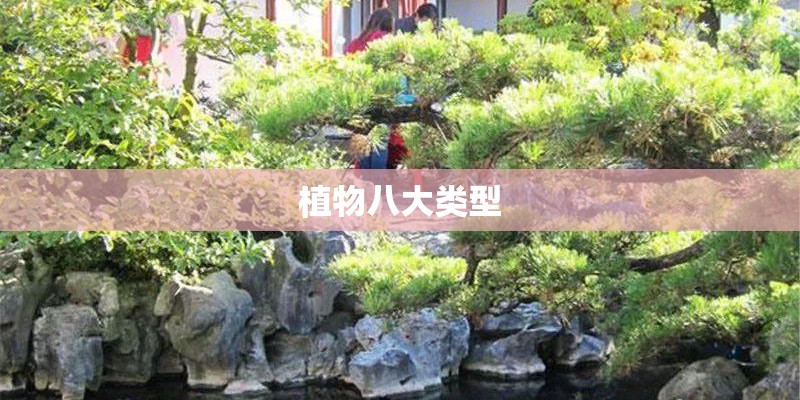 植物八大类型
