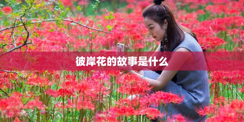 彼岸花的故事是什么