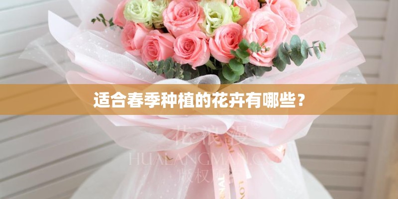 适合春季种植的花卉有哪些？