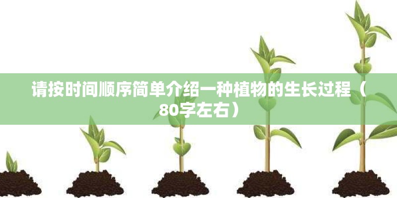 请按时间顺序简单介绍一种植物的生长过程（80字左右）