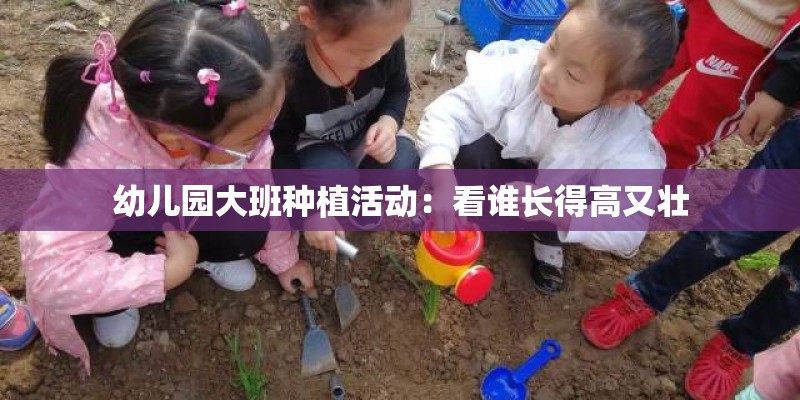幼儿园大班种植活动：看谁长得高又壮