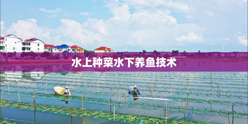 水上种菜水下养鱼技术 水上种菜水下养鱼技术
