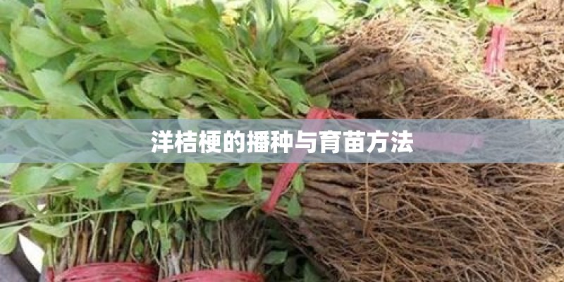 洋桔梗的播种与育苗方法 洋桔梗的播种与育苗方法