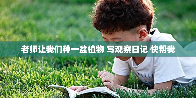 老师让我们种一盆植物 写观察日记 快帮我
