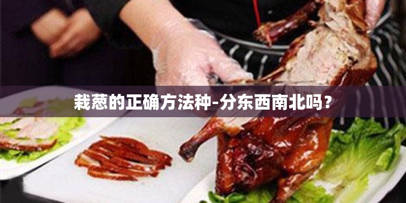 栽葱的正确方法种-分东西南北吗? 栽葱的正确方法种-分东西南北吗?