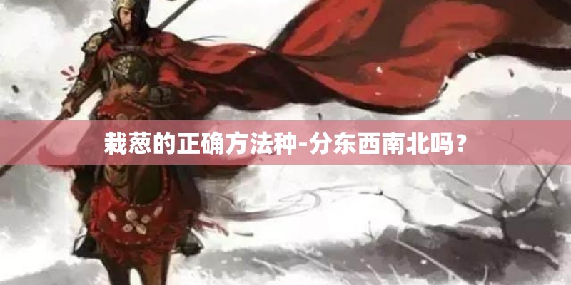 栽葱的正确方法种-分东西南北吗? 栽葱的正确方法种-分东西南北吗?