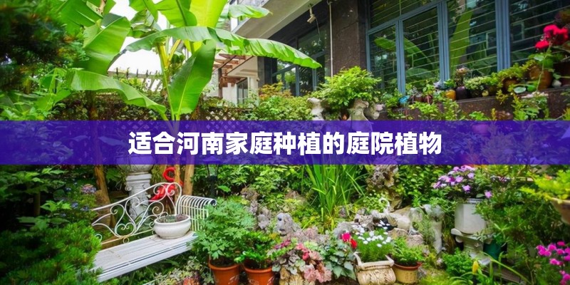 适合河南家庭种植的庭院植物