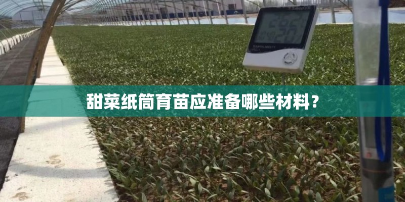 甜菜纸筒育苗应准备哪些材料? 甜菜纸筒育苗应准备哪些材料?