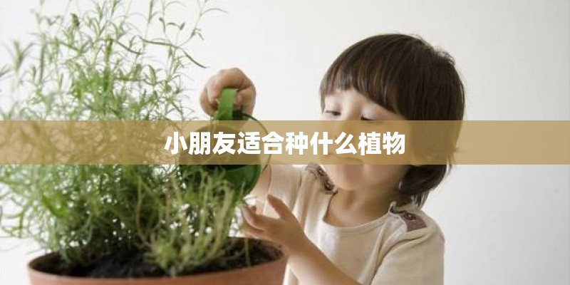 小朋友适合种什么植物