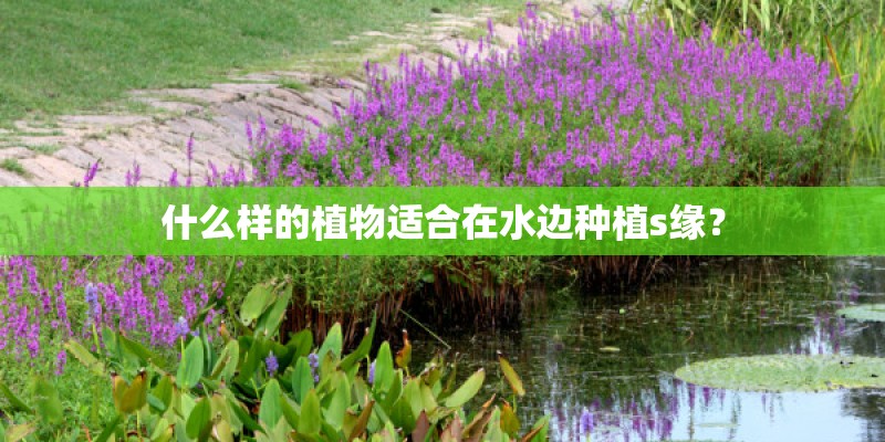 什么样的植物适合在水边种植s缘? 什么样的植物适合在水边种植s缘?