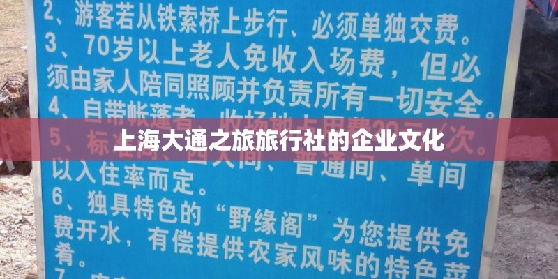 上海大通之旅旅行社的企业文化