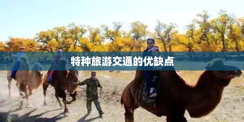 特种旅游交通的优缺点